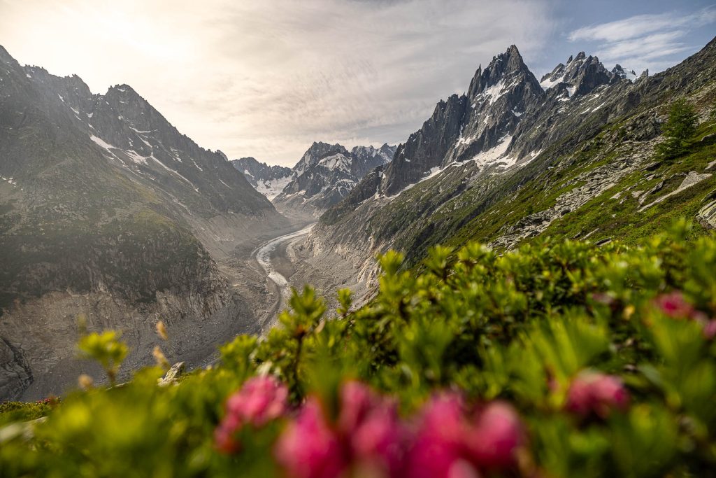 AGP_9184-WEB-HD