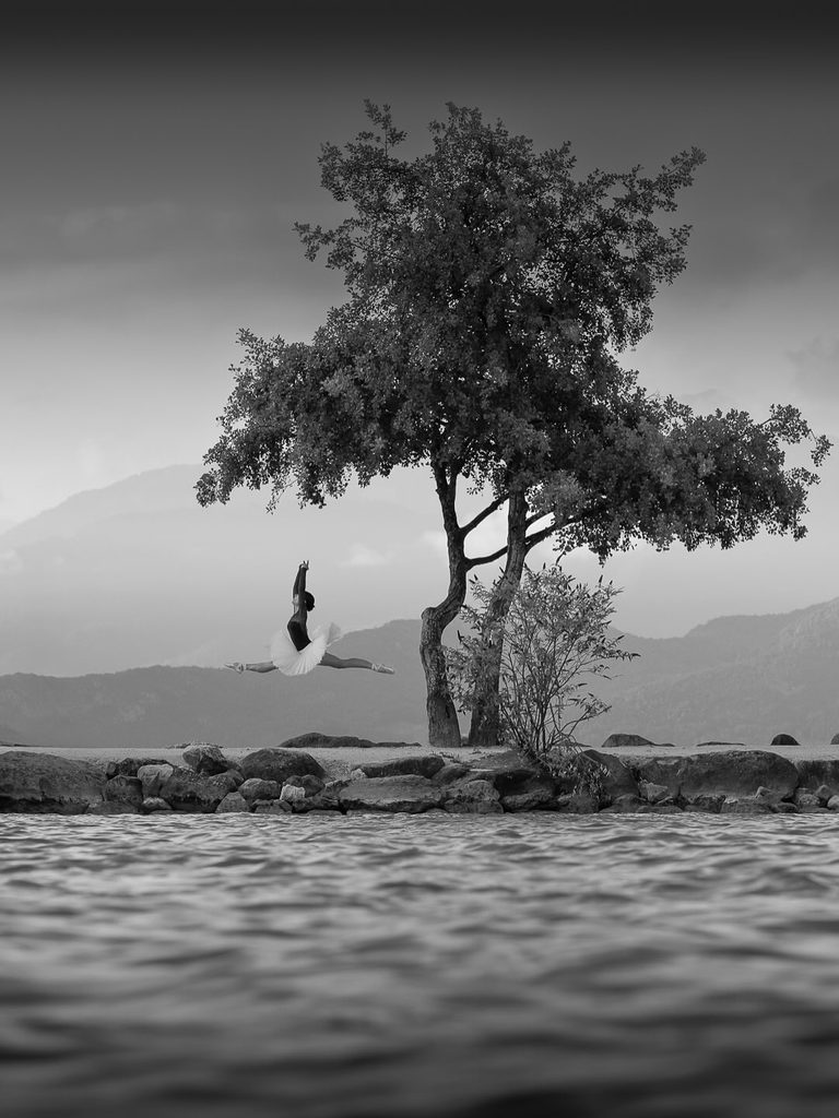 Arbre isolé au bord d'un lac en noir et blanc, un oiseau figé en vol